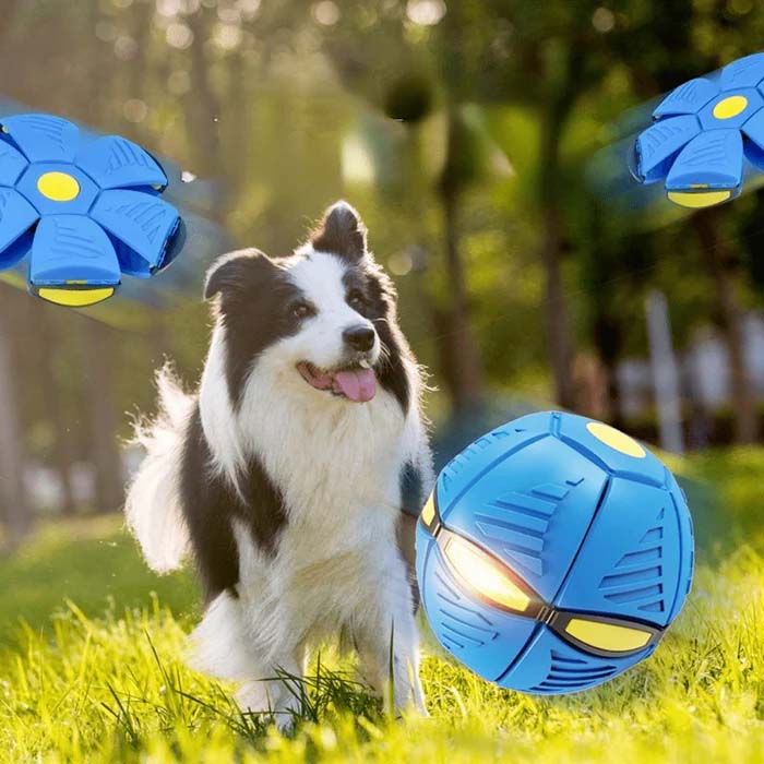 Freeball - Den självhoppande bollen